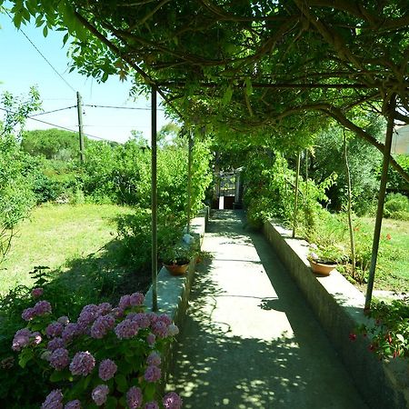 Apartment Renata Veli Lošinj Buitenkant foto